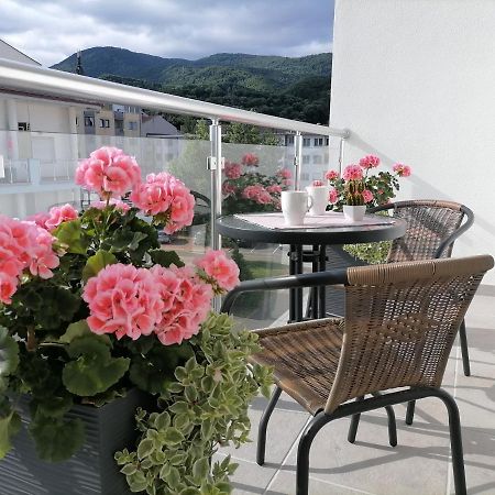 Svjetlanalex 2 Appartement Banja Koviljača Buitenkant foto