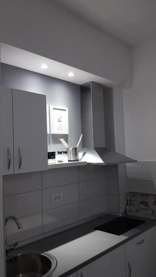 Svjetlanalex 2 Appartement Banja Koviljača Buitenkant foto