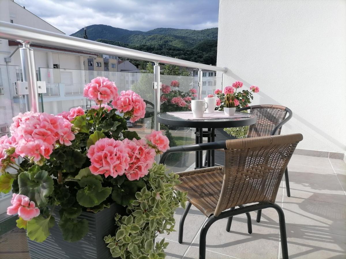 Svjetlanalex 2 Appartement Banja Koviljača Buitenkant foto